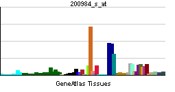 PBB GE CD59 200984 s at tn.png