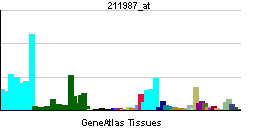PBB GE TOP2B 211987 at tn.png