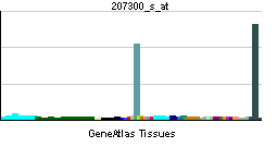 PBB GE F7 207300 s at tn.png
