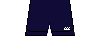 Kit shorts Japanshortsb17.png