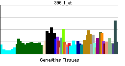 PBB GE EPOR 396 f at tn.png