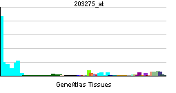 PBB GE IRF2 203275 at tn.png