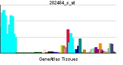 PBB GE MBD2 202484 s at tn.png