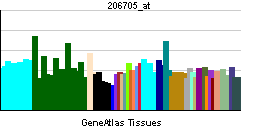 PBB GE TULP1 206705 at tn.png