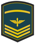 Sub-Oficial 2 (Master Sergeant).gif