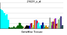PBB GE B2M 216231 s at tn.png