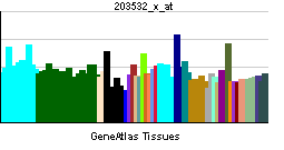 PBB GE CUL5 203532 x at tn.png