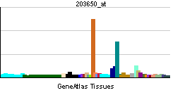 PBB GE PROCR 203650 at tn.png