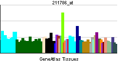 PBB GE TNFRSF9 211786 at tn.png