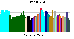 PBB GE ITGB3 204626 s at tn.png