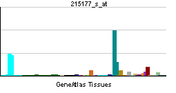 PBB GE ITGA6 215177 s at tn.png