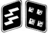 SS-Sturmbannfuehrer collar.jpg
