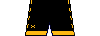 Kit shorts Waspshorts16.png