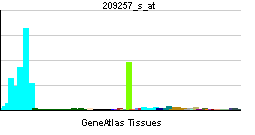 PBB GE SMC3 209257 s at tn.png