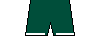 Kit shorts guarani21a.png