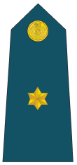 Subteniente De Avación (Second Lieutenant).gif
