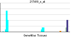 PBB GE MS4A1 217418 x at tn.png