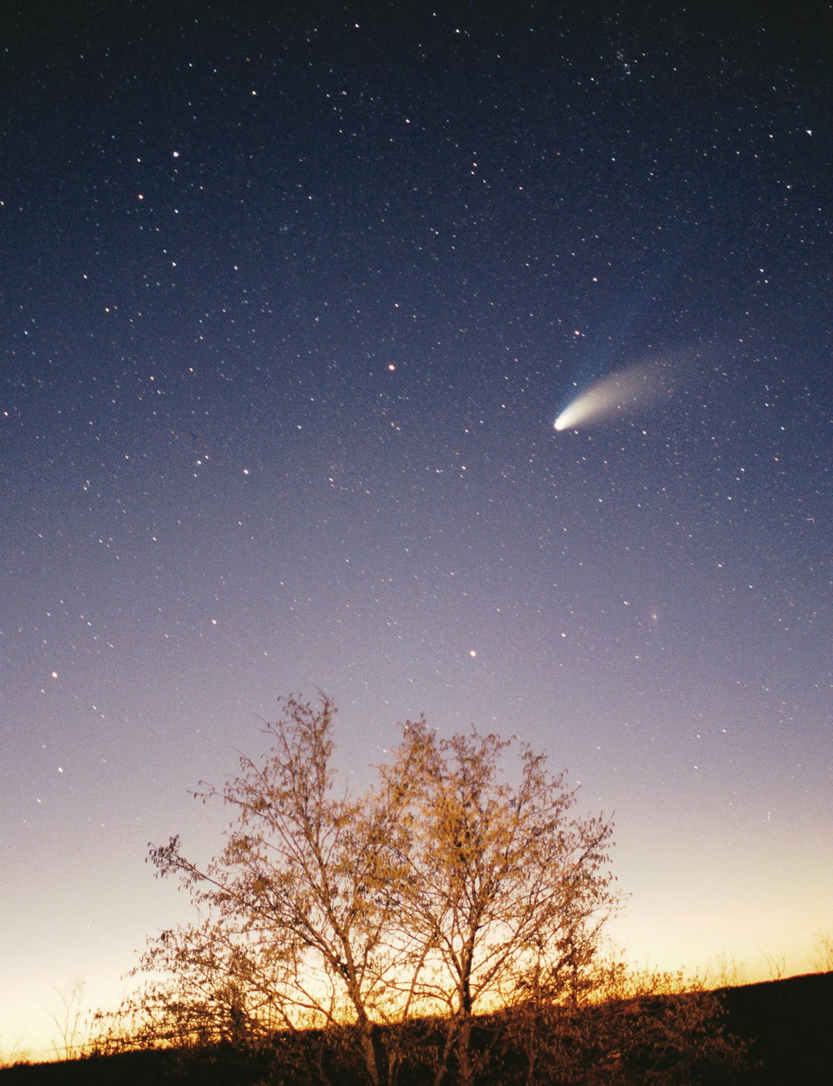MPP Comet-Hale-Bopp-29-03-1997 hires adj.jpg