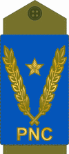 Congo-kinshasa-police 15.gif