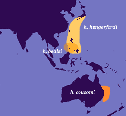 Verbreitungsgebiet-hungerfordi.gif
