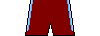 Kit shorts trabzonspor1011a.png