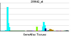 PBB GE BUB1 209642 at tn.png
