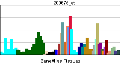 PBB GE CD81 200675 at tn.png