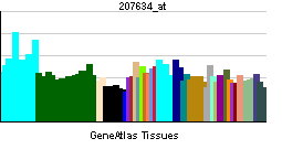 PBB GE PDCD1 207634 at tn.png
