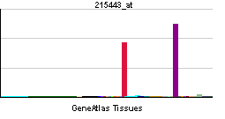 PBB GE TSHR 215443 at tn.png