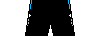 Kit shorts f911819h.png
