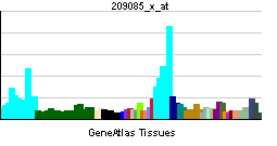 PBB GE RFC1 209085 x at tn.png