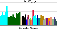PBB GE CUL3 201370 s at tn.png