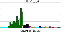 PBB GE NEFL 221801 x at tn.png