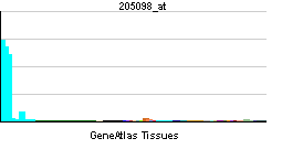 PBB GE CCR1 205098 at tn.png