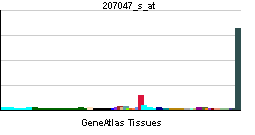 PBB GE CLCNKA 207047 s at tn.png