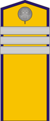 White Army OR-6 - Kuren Regiment (Taras Shevchenko) 1918-1919.png