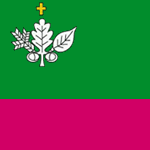 Флаг