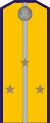 White Army OF-1b - Kuren Regiment (Taras Shevchenko) 1918-1919.png