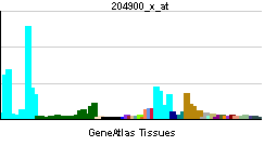 PBB GE SAP30 204900 x at tn.png