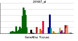 PBB GE GJA1 201667 at tn.png
