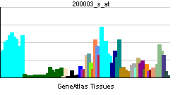 PBB GE PRPF8 200003 s at tn.png