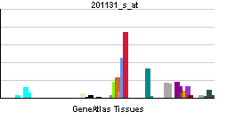 PBB GE CDH1 201131 s at tn.png