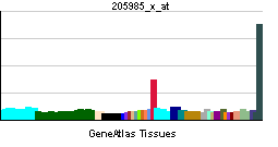 PBB GE CLCNKB 205985 x at tn.png