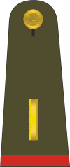 Mexican Military Subteniente.gif