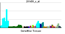 PBB GE BUB3 201458 s at tn.png
