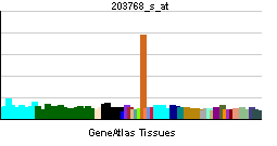 PBB GE STS 203768 s at tn.png