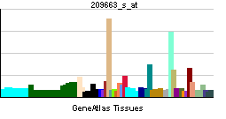 PBB GE ITGA7 209663 s at tn.png