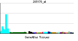 PBB GE STAT2 205170 at tn.png