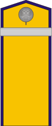 White Army OR-2 - Kuren Regiment (Taras Shevchenko) 1918-1919.png