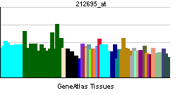 PBB GE CRY2 212695 at tn.png